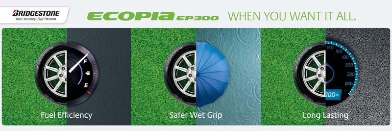 Ecopia EP300 - When You Want It All !
