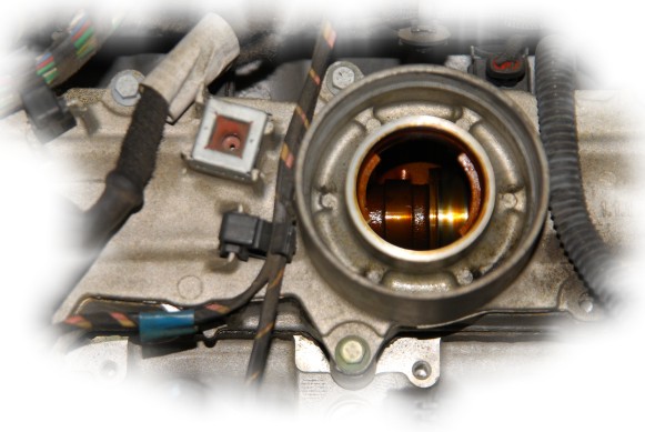 Oil Valve